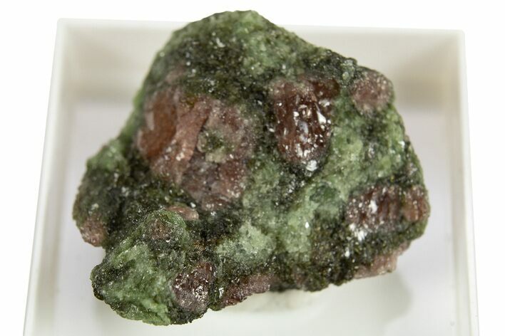 Pyrope, Forsterite, Diopside & Omphacite Association - Norway #309762